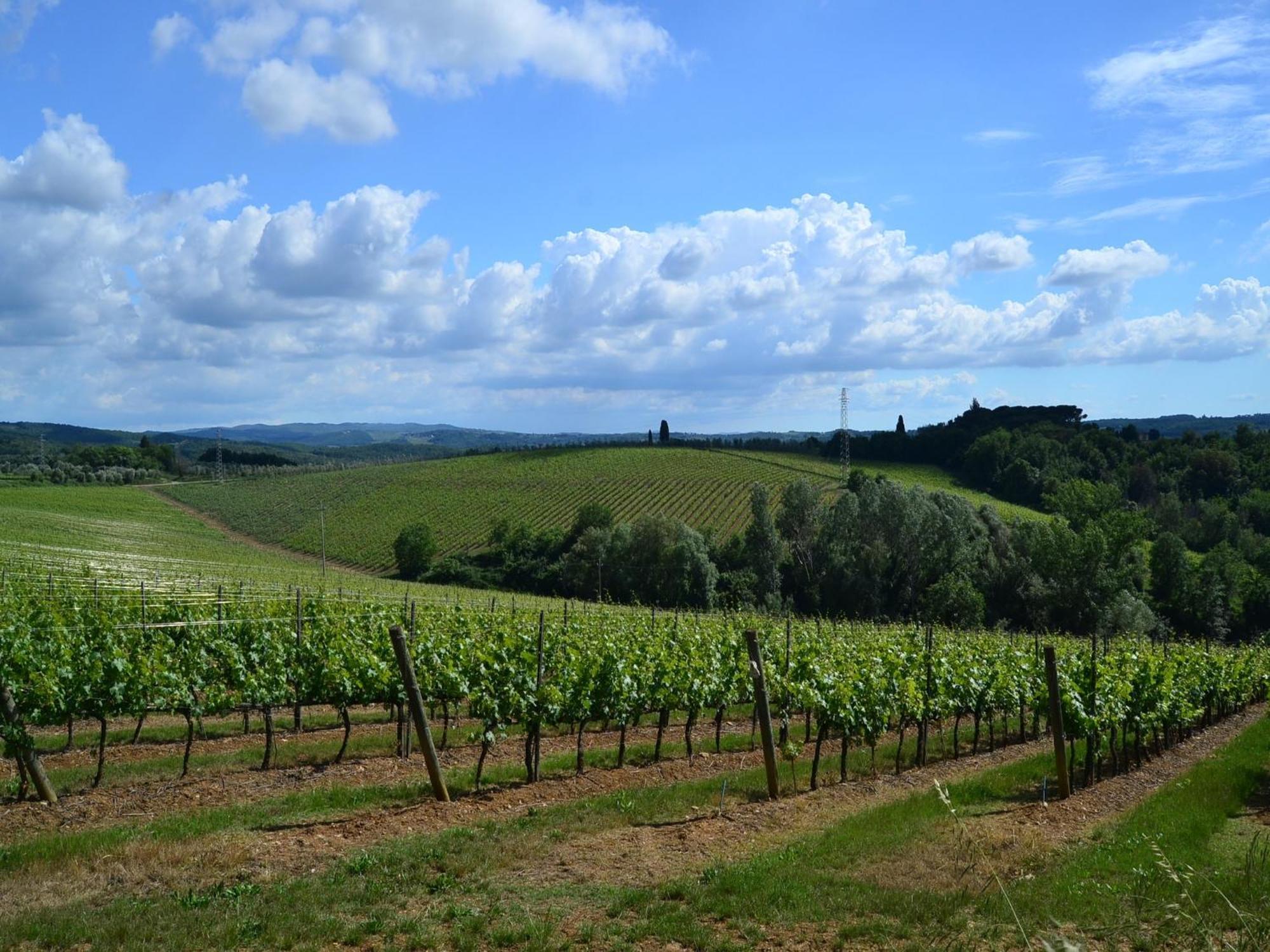 Lovely Holiday Home In Montefiridolfi With Hill View Eksteriør billede