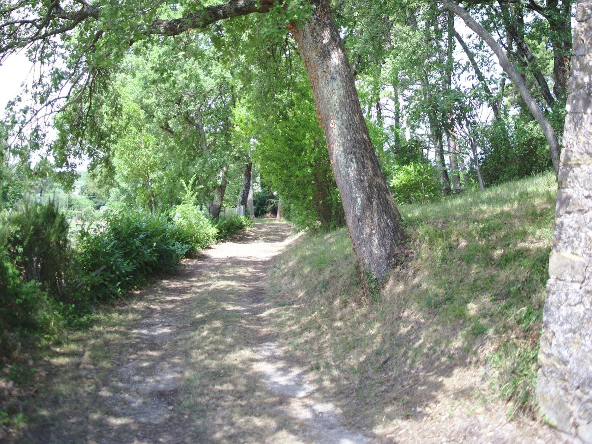 Lovely Holiday Home In Montefiridolfi With Hill View Eksteriør billede
