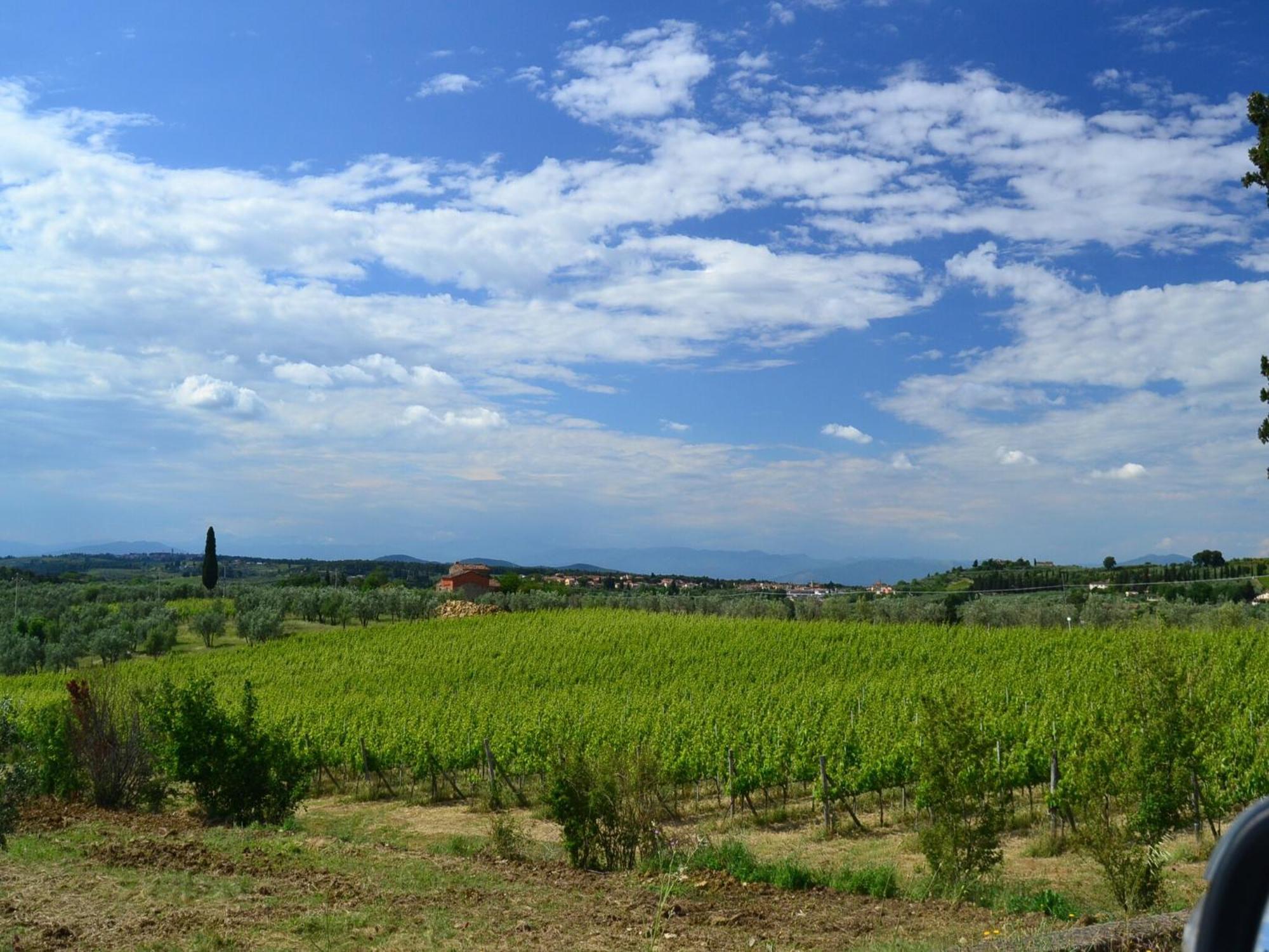 Lovely Holiday Home In Montefiridolfi With Hill View Eksteriør billede