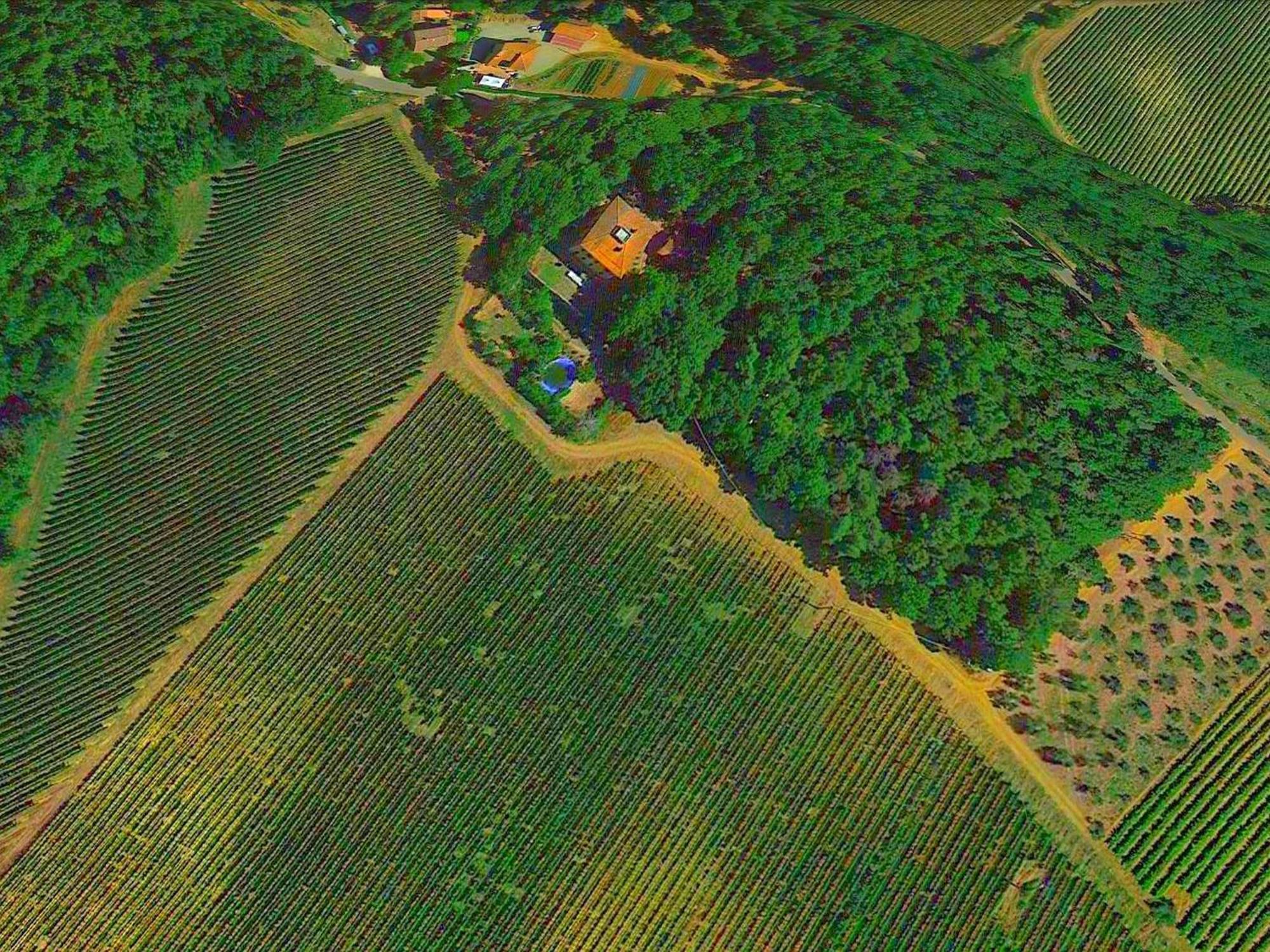 Lovely Holiday Home In Montefiridolfi With Hill View Eksteriør billede